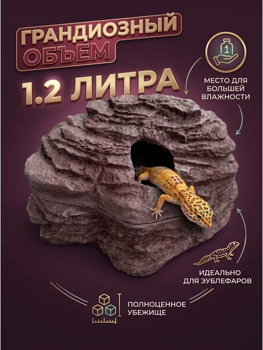 ГротАква Влажная камера XXL (большая), коричневый, фото 5