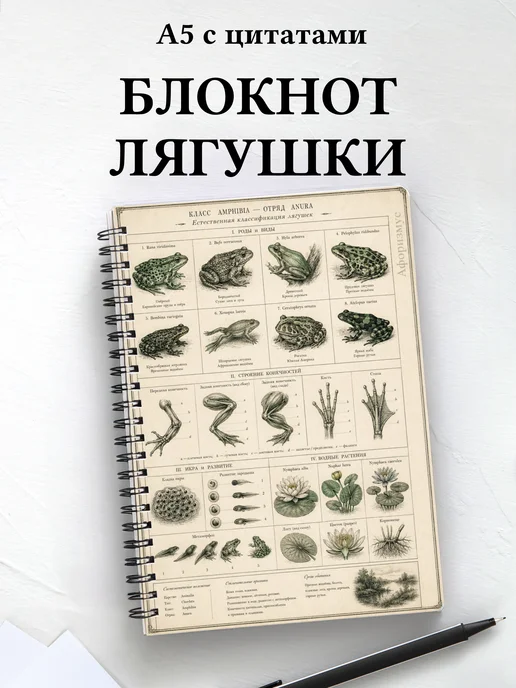 Блокнот Лягушки
