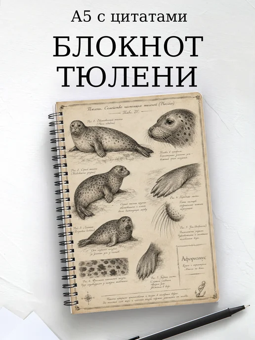 Блокнот Тюлени