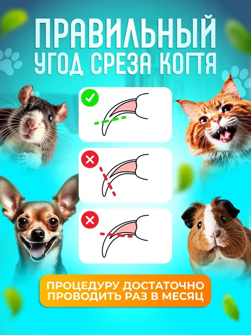Когтерезка для кошек и собак, белый, фото 4