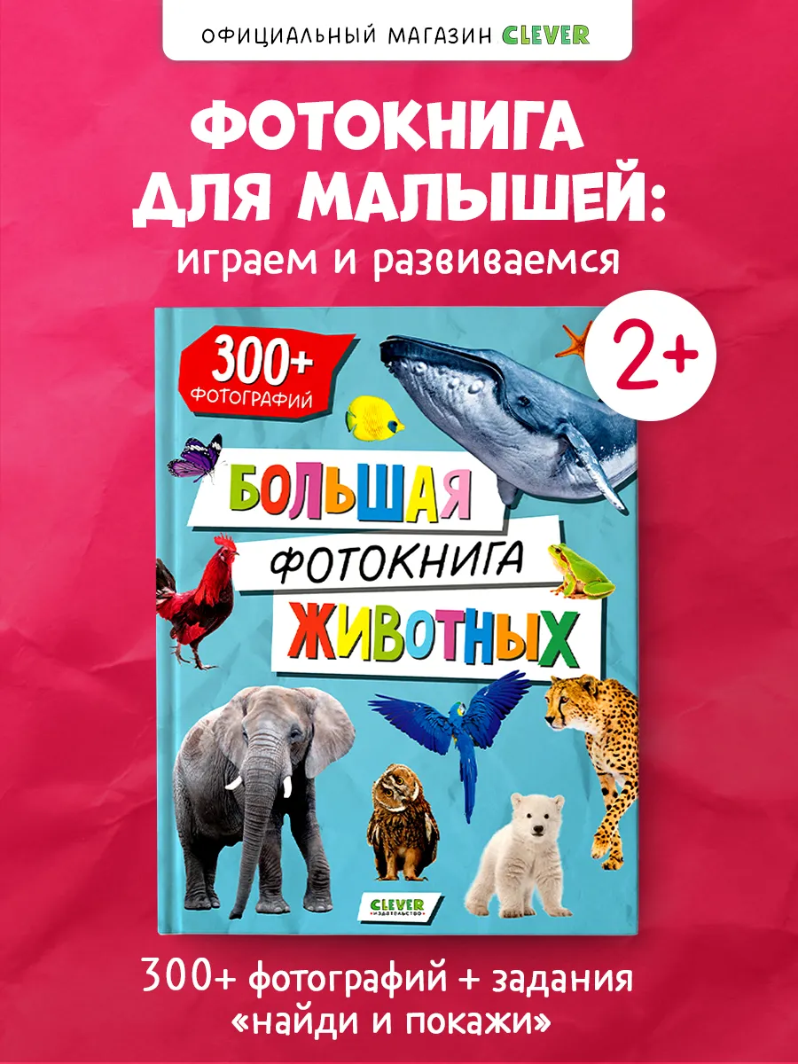 Первые книжки малыша. Большая фотокнига животных