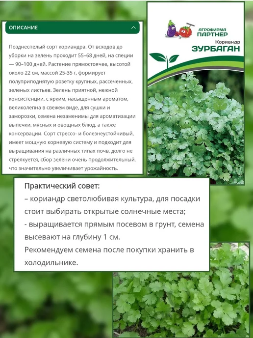 Агрофирма Партнер Семена петрушки, укропа,кориандра Зурбаган, 3 шт, фото 2