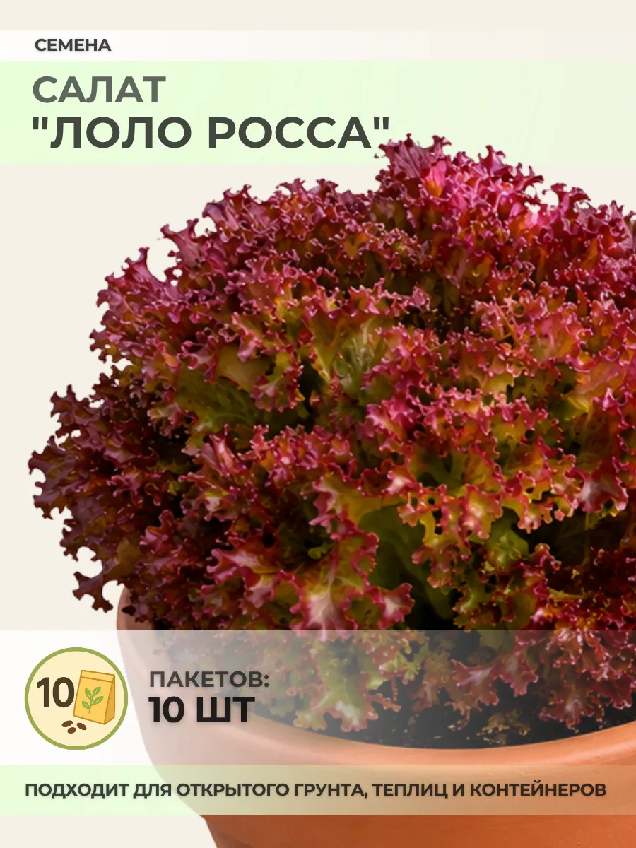 Семена Салата "Лоло Росса" - 10 пакетов