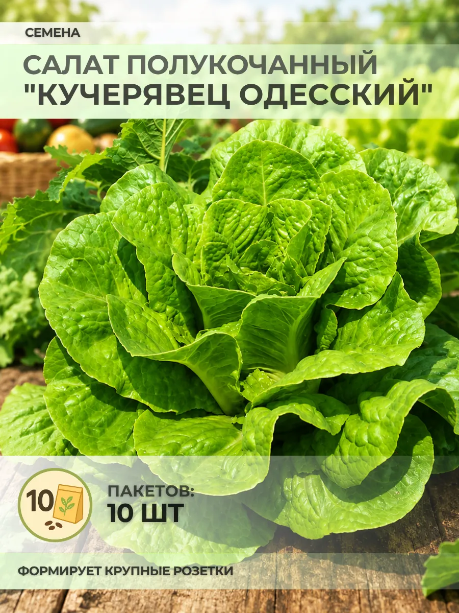 Семена Салата "Кучерявец одесский" - 10 пакетов