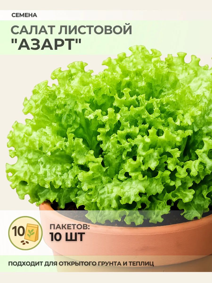 Семена Салата листового "Азарт" - 10 пакетов