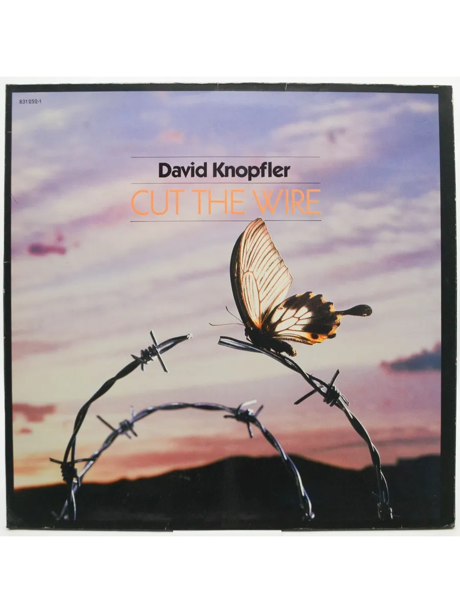 whatever happened to david knopfler's net worth - Ilustrasi 2