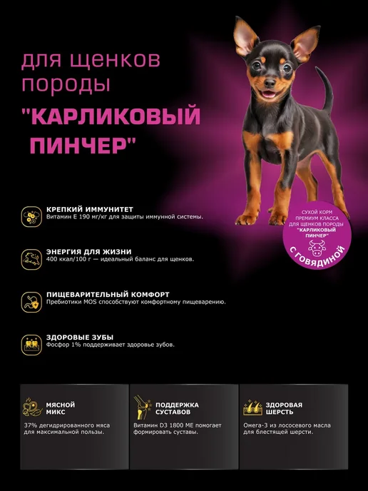 Сухой корм QUATTRO Карликовый Пинчер для собак, щенки, говядина, 0,8 кг, фото 2