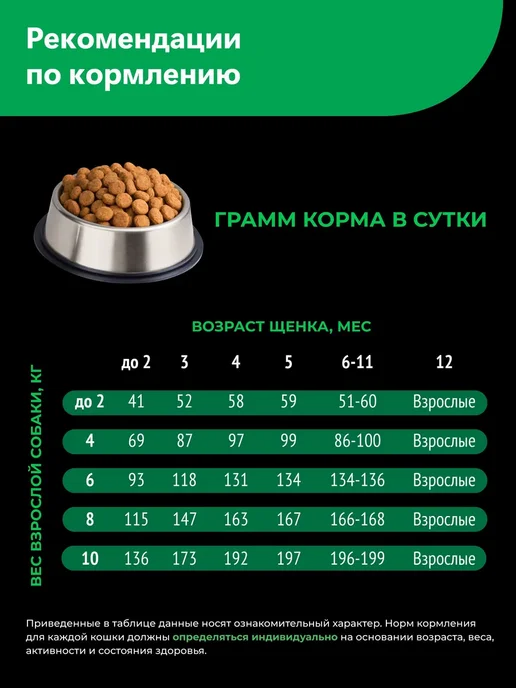 Сухой корм QUATTRO Той Пудель для собак, щенки, ягненок, 6 кг, фото 6