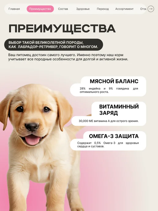 Сухой корм QUATTRO Лабрадор-Ретривер для собак, щенки, говядина, 12 кг, фото 2