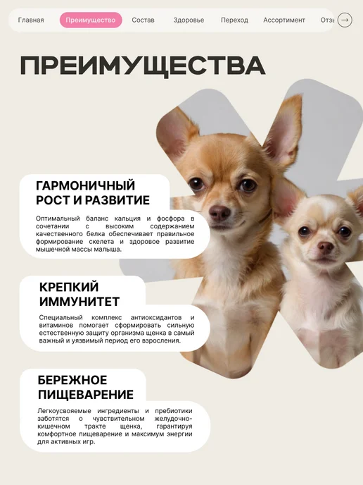 Сухой корм QUATTRO Лабрадор-Ретривер для собак, щенки, говядина, 12 кг, фото 3
