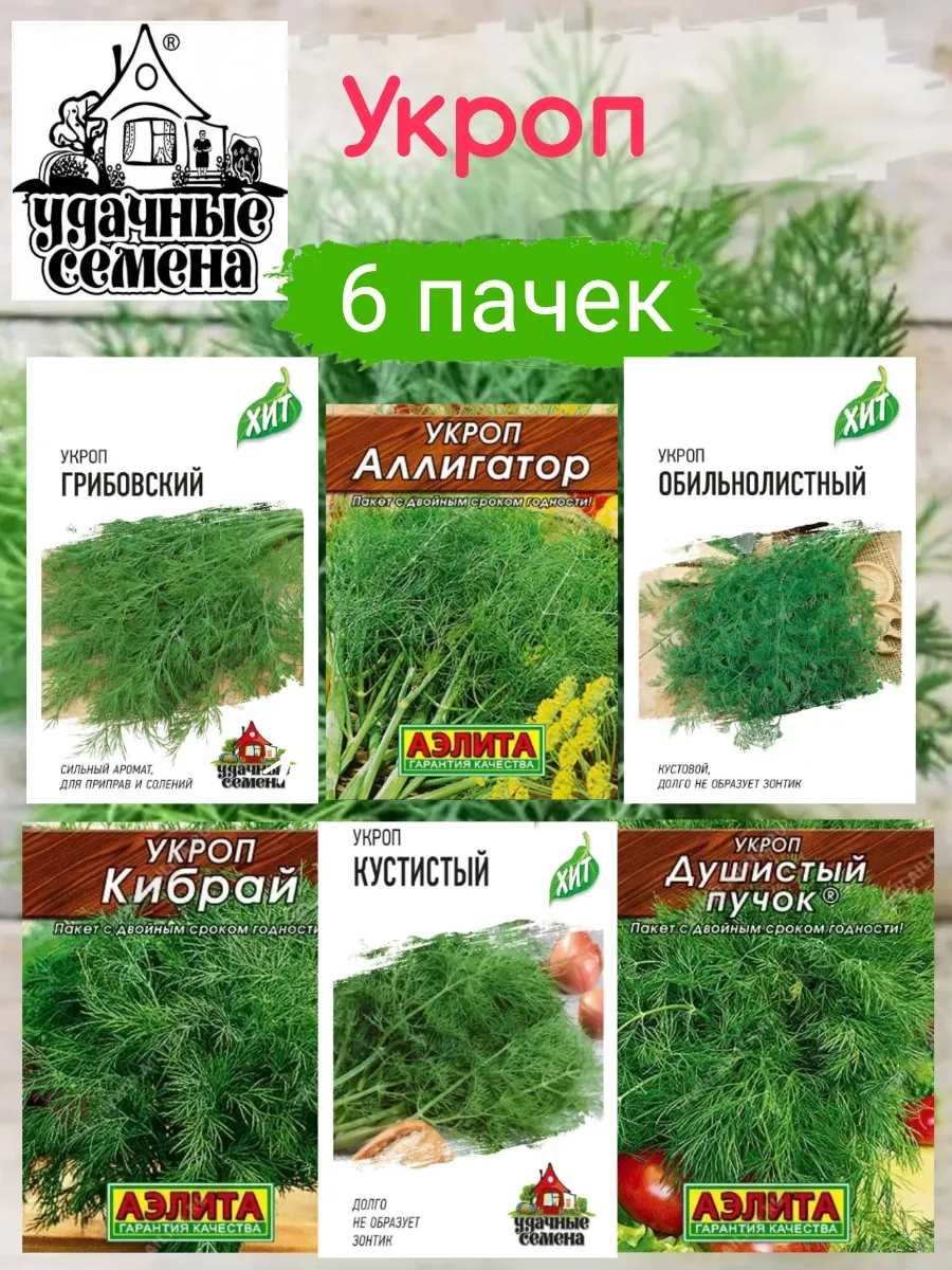 Набор семян укропа, 6 сортов