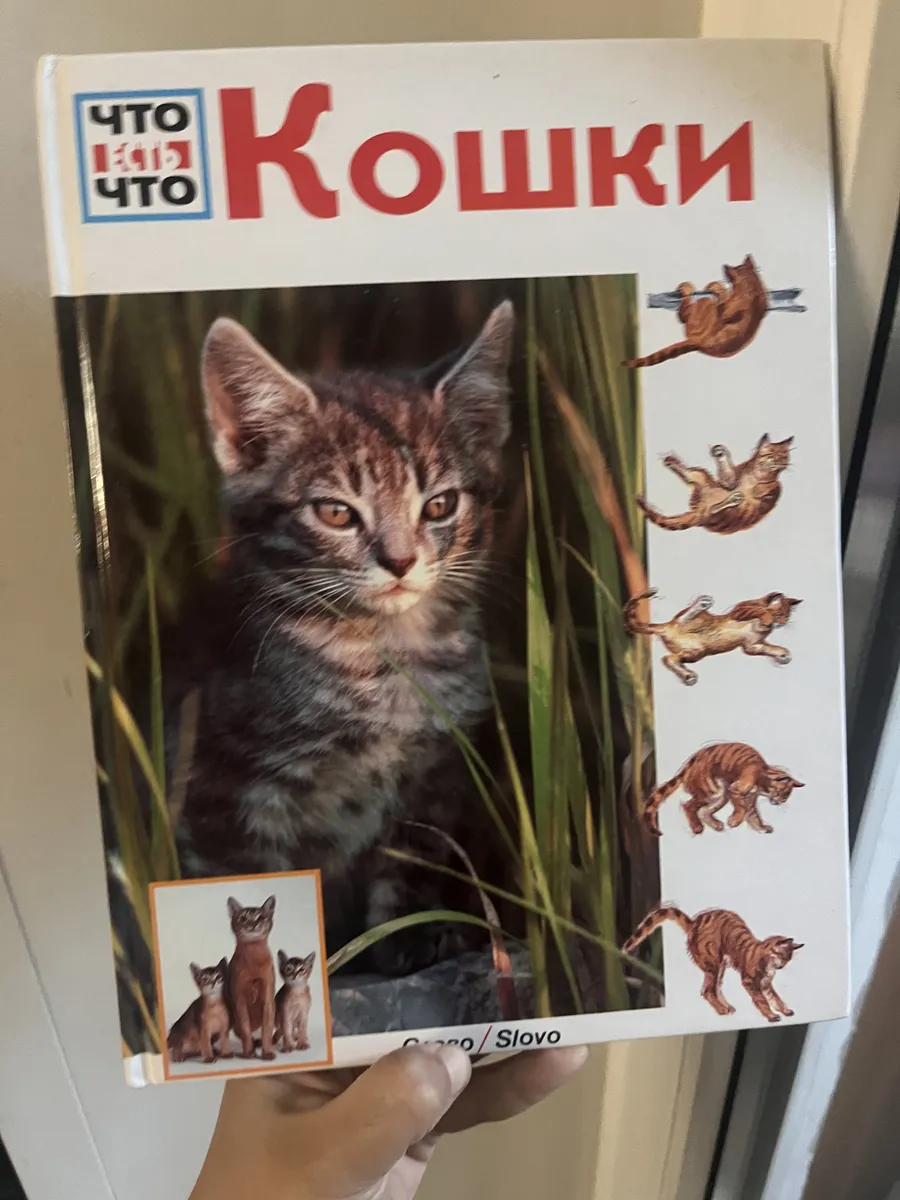 Книга Энциклопедия Что есть Что Кошки