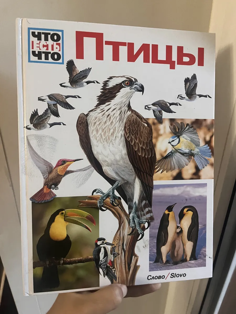 Книга Энциклопедия Что есть Что Птицы