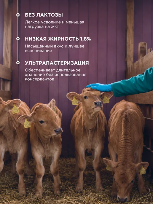 BombBar Молоко безлактозное ультрапастеризованное протеиновое, 1 л, фото 4