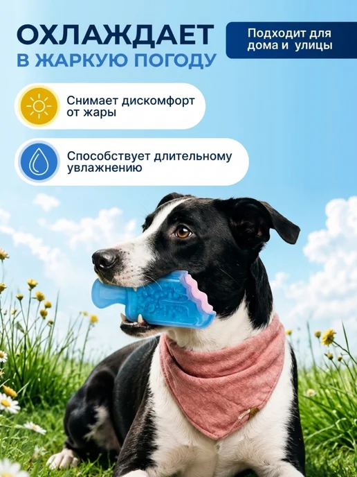M-PETS Охлаждающая игрушка для собак и щенков Эскимо 13,6 см, вариант, фото 4