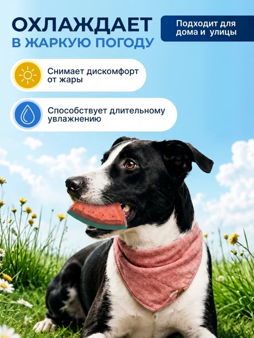 M-PETS Охлаждающая игрушка для собак и щенков Арбуз 13,5 см, вариант, фото 4