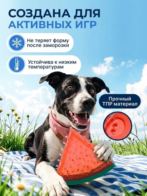 M-PETS Охлаждающая игрушка для собак и щенков Арбуз 13,5 см, вариант, фото 5