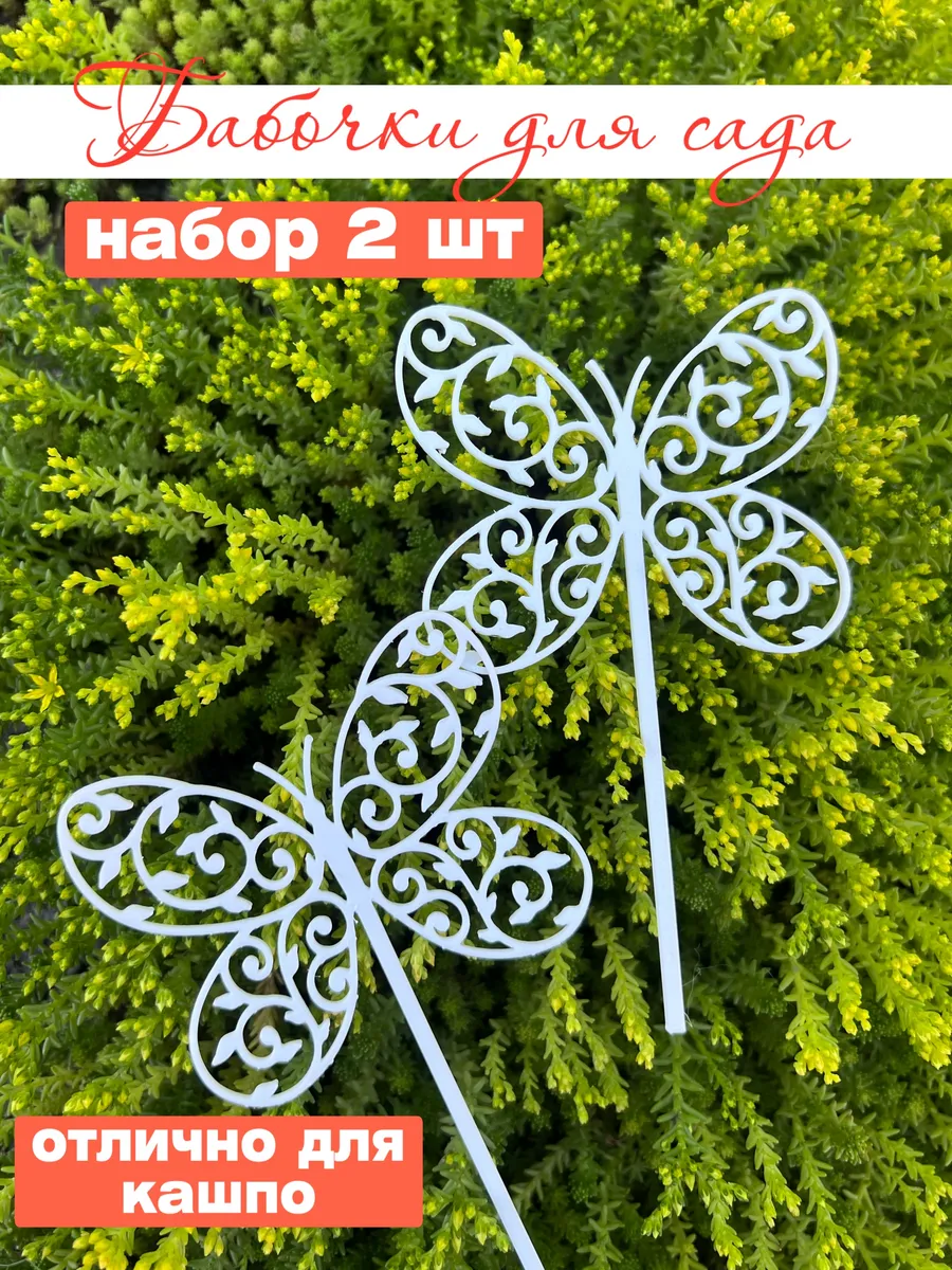 Бабочки садовые