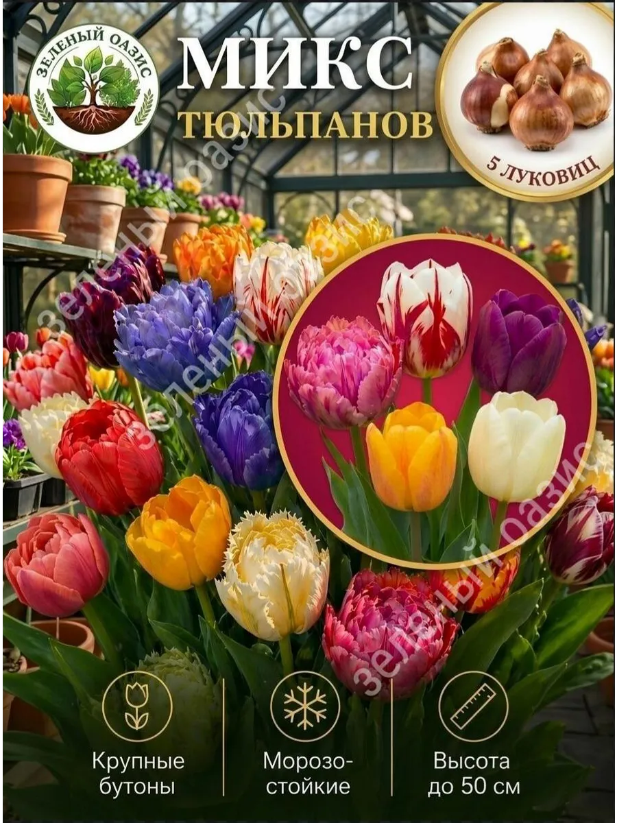 Луковицы тюльпанов Микс