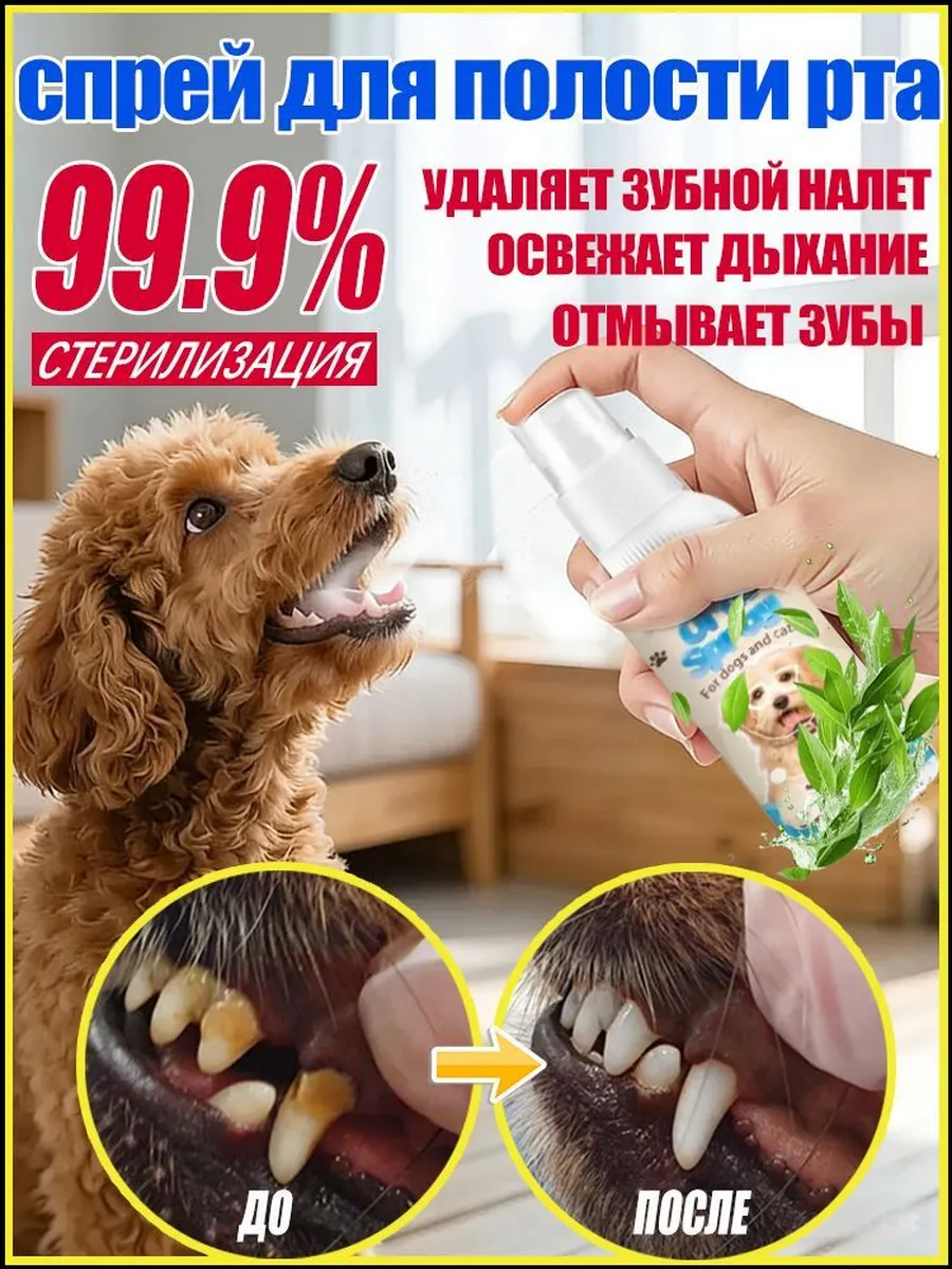 Спрей для полости рта для кошек и собак, бережная бактерии с