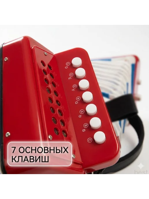 Детский аккордеон для начинающих обучающая портативная музы, вариант, фото 3