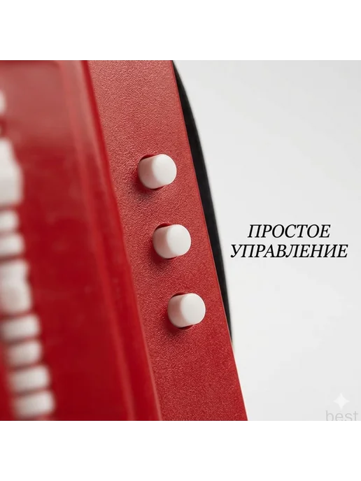 Детский аккордеон для начинающих обучающая портативная музы, вариант, фото 4