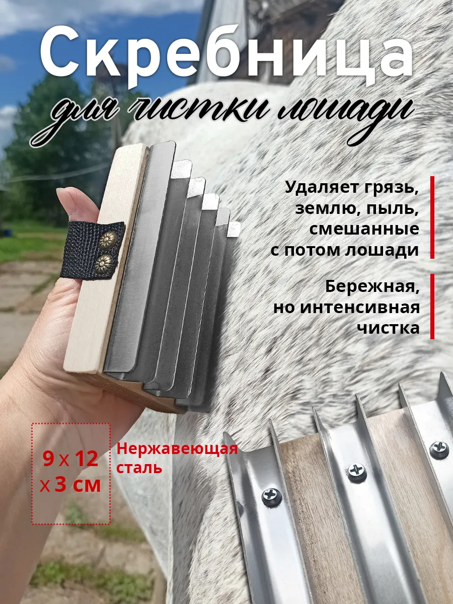 Скребница для чистки лошади