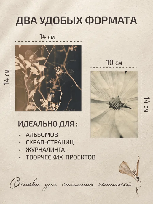 Эстет бюро Бумага для скрапбукинга набор с рисунками и принтом Сепия, серый, фото 3