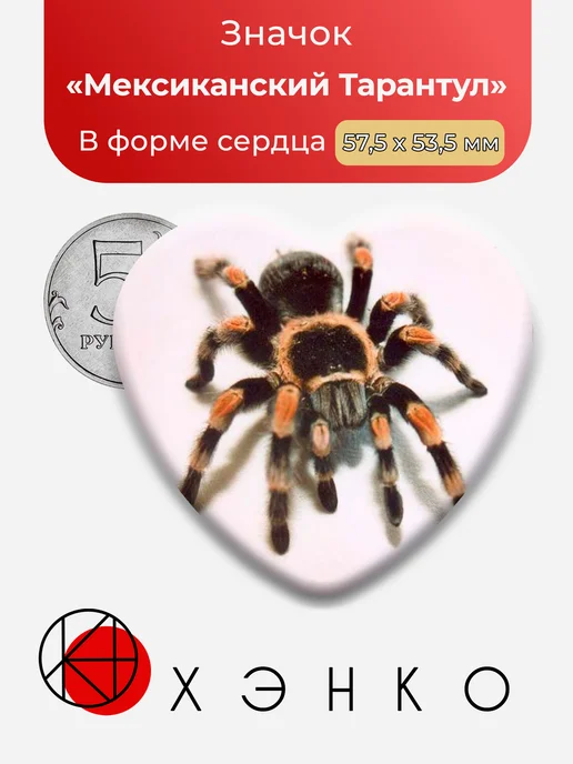 Мексиканский тарантул
