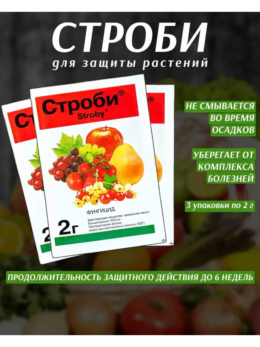 строби фунгицид для растений (3шт по 2гр)