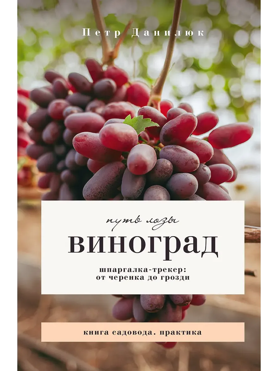 Виноград. Путь лозы. Шпаргалка-трекер: от черенка до грозди