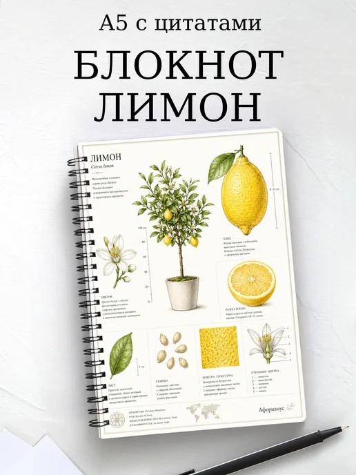 Блокнот Лимон с мотивирующими цитатами