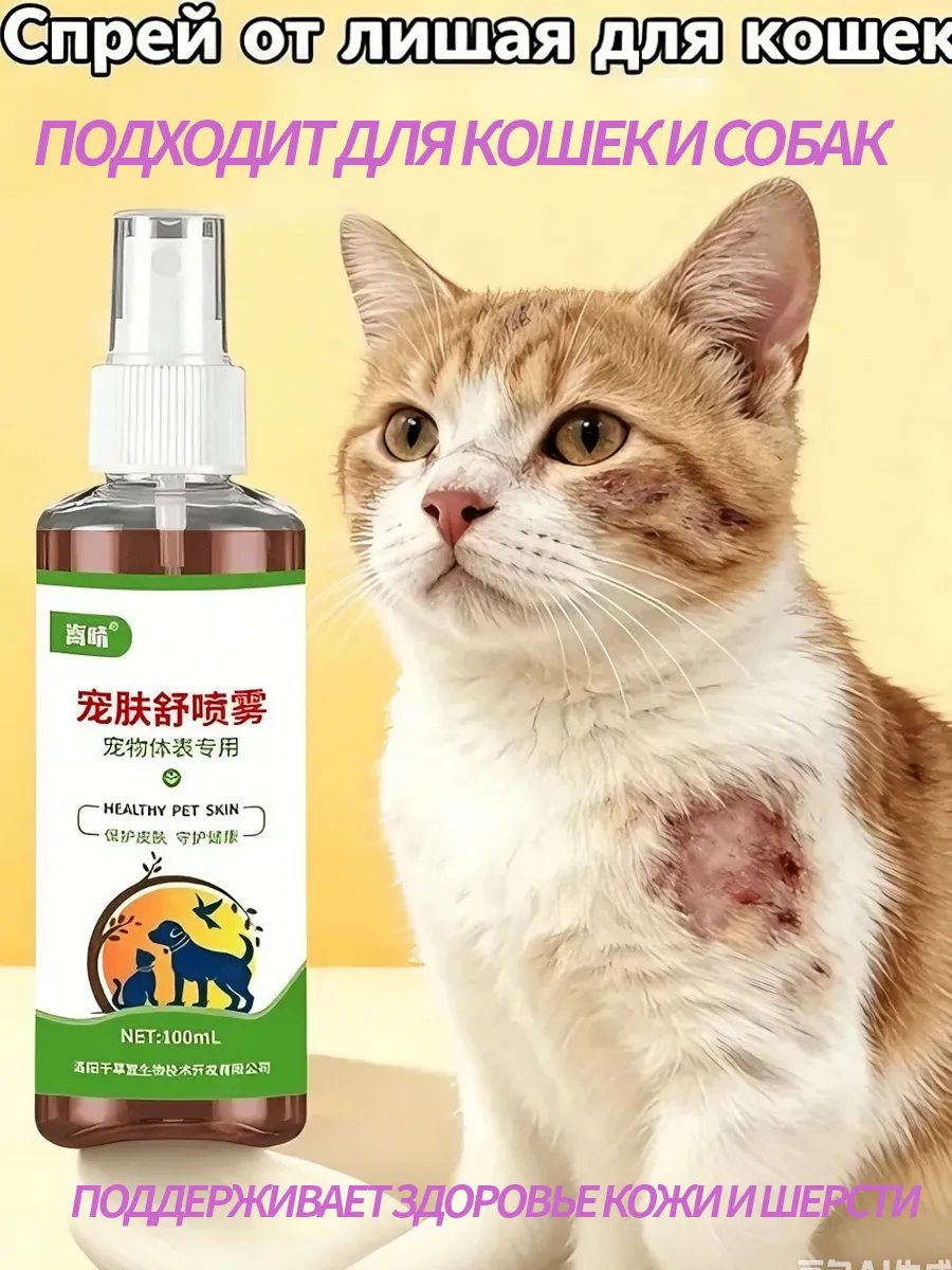 Тяжелые кожные заболевания у кошек