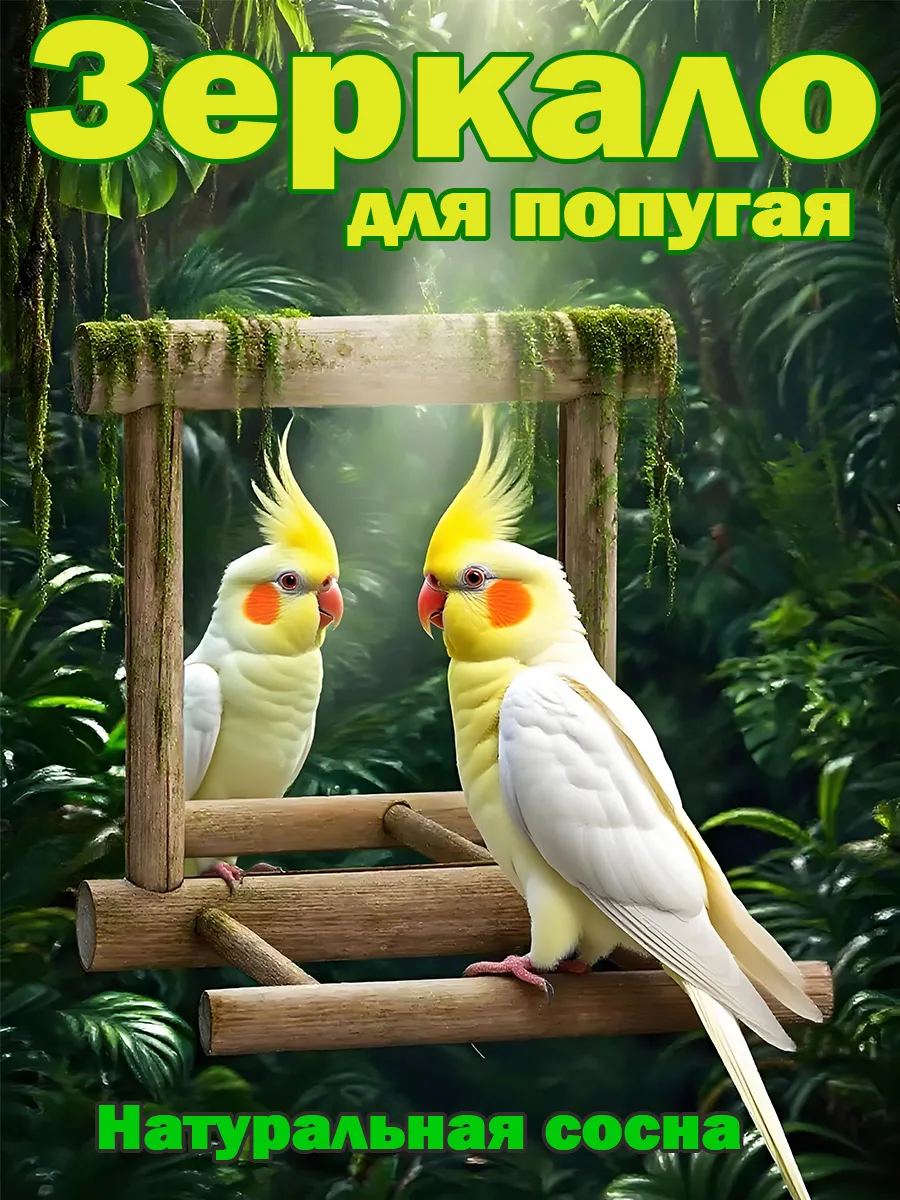 Зеркало для попугая в клетку с жердочкой. Игрушка для