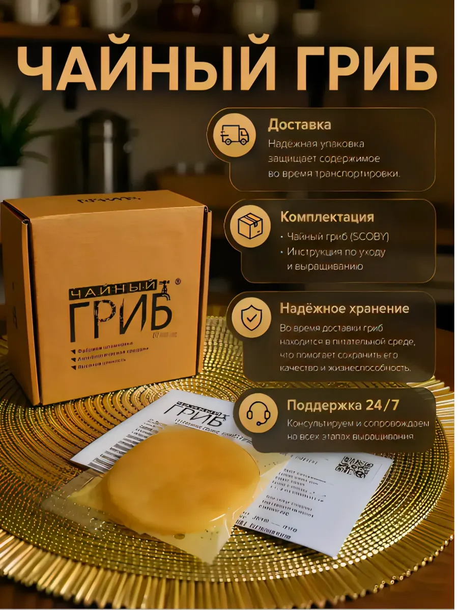 Живой гриб для Комбучи SCOBY
