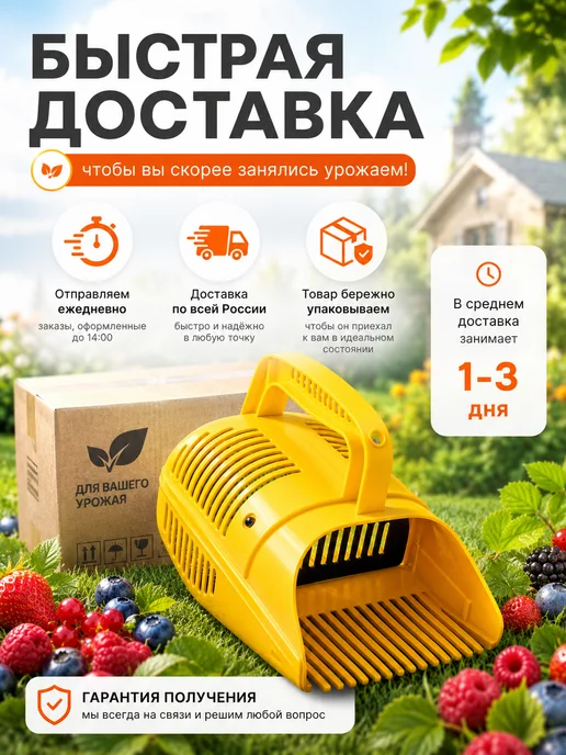 плодосборник, вариант, фото 3