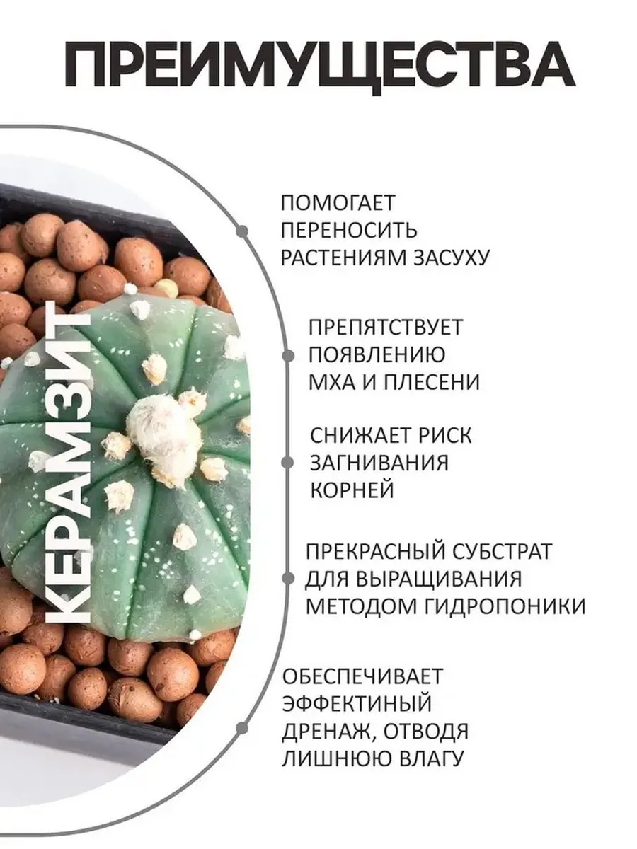 Отличный дренаж для растений и почвы