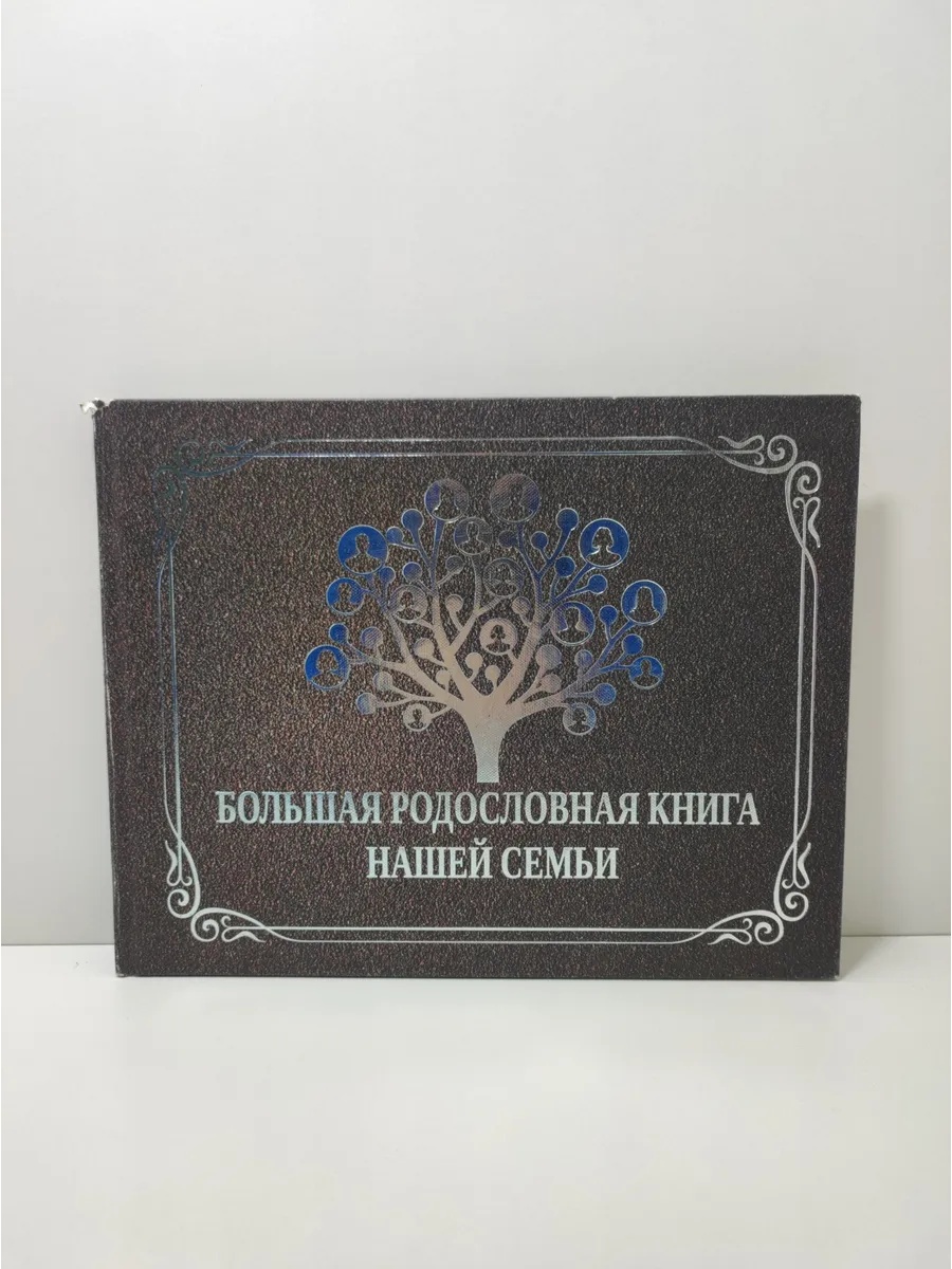 Большая родословная книга нашей семьи. Наша семейная книга