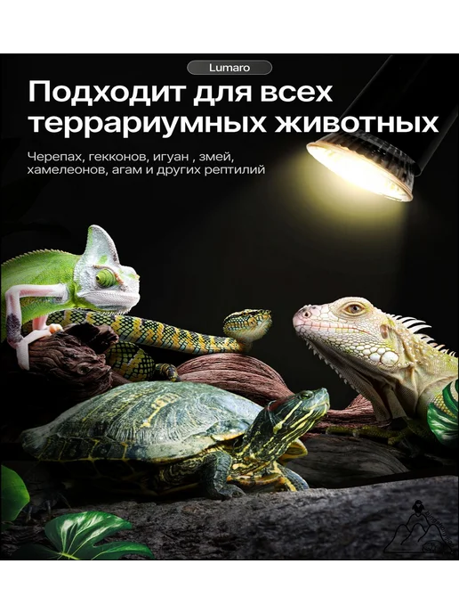 Лампа для черепах, для рептилий для террариума, вариант, фото 3