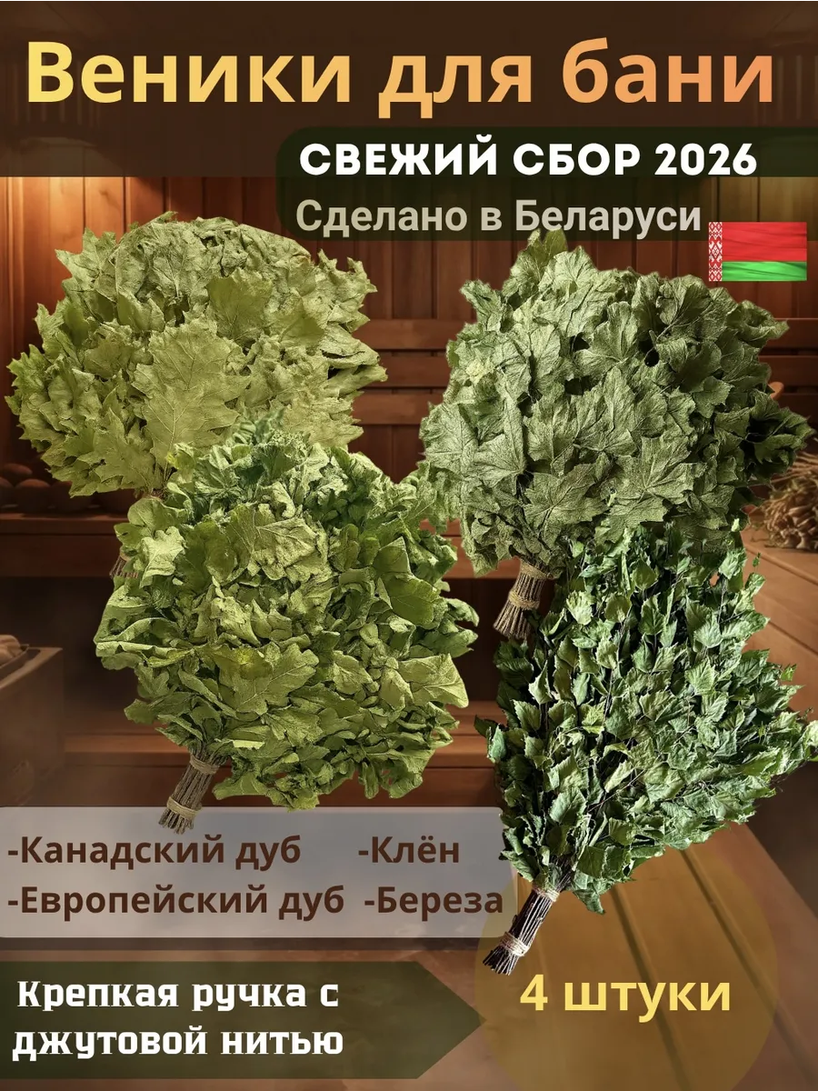 Веники для бани набор 4 штуки
