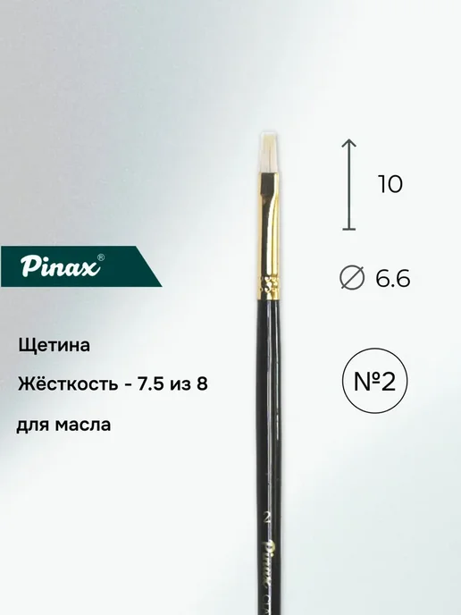 Pinax Кисть "Classic", щетина, плоская на дл. ручке № 2, вариант, фото 2
