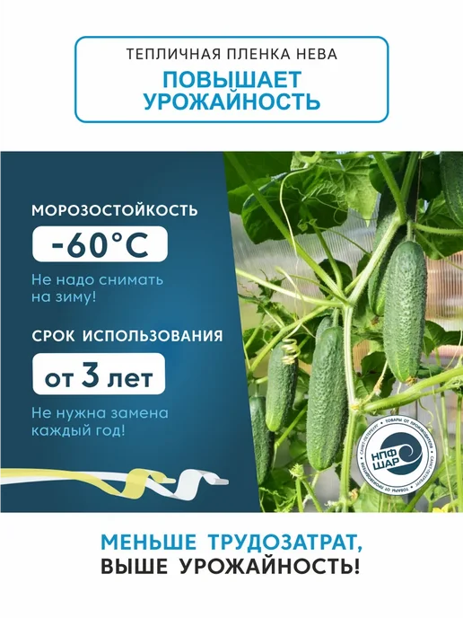 НЕВА Пленка для теплиц и парников 100 мкм, 3х7 м, 100 мкм, 3x4 м, фото 2