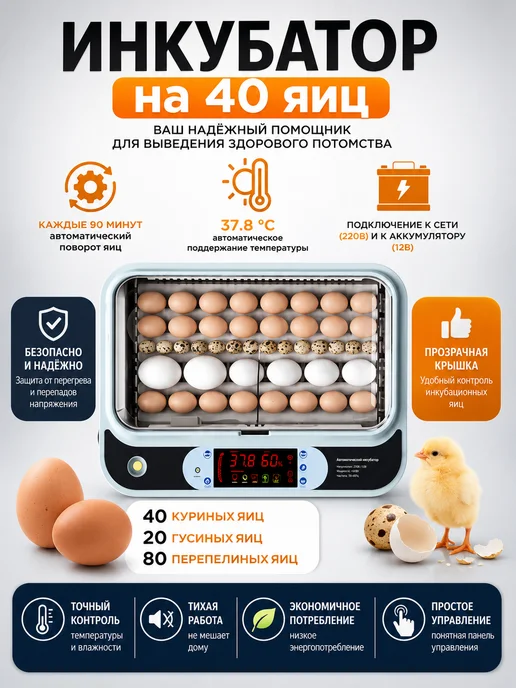 Инкубатор для яиц автоматический терморегулятором 40 яиц, вариант