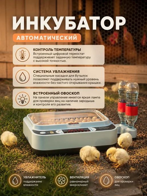 Инкубатор для 36 яиц автоматический с терморегулятором, синий, фото 3