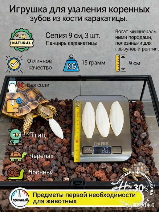 корм для птиц уличных корм для птиц Сепия 9 см 3 штуки, для, вариант