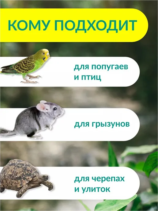 корм для птиц уличных корм для птиц Сепия 9 см 3 штуки, для, вариант, фото 4
