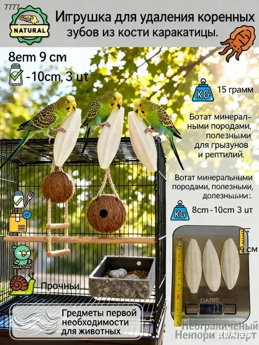 Сепия 9 см 3 штуки, панцирь каракатицы для улиток, черепах, в упаковке 50 г