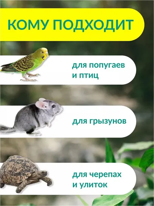 Сепия 9 см 3 штуки, панцирь каракатицы для улиток, черепах, в упаковке 50 г, фото 4