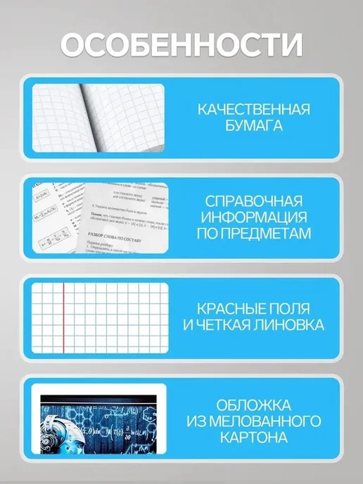 Набор школьных тетрадей «Сталь» 10 предметов, вариант, фото 2
