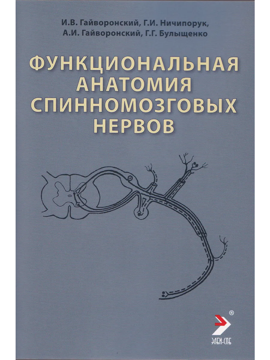 Функциональная анатомия спинномозговых нервов